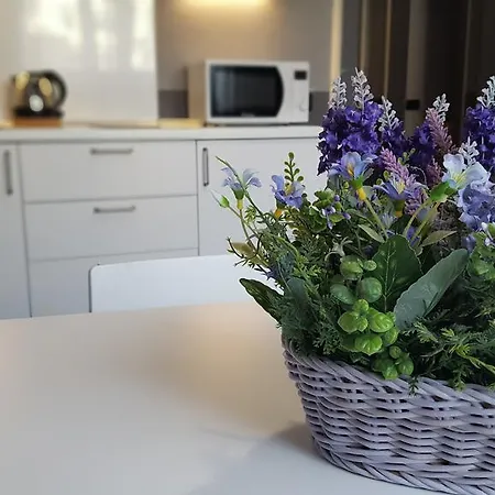 Flats4rent Giulia * Verona